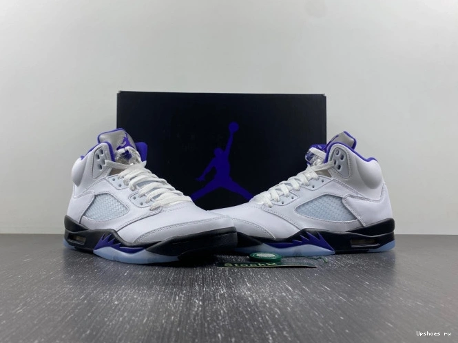 DD0587-141 Retro Jordan  Dark Concord 5 0512